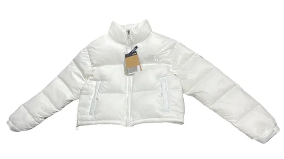 The North Face Down Jacket 2+ colorways [Premium Quality]