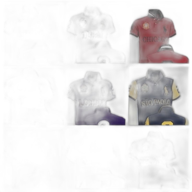 Ralph Lauren Polo 27+ colorways [Premium Quality]