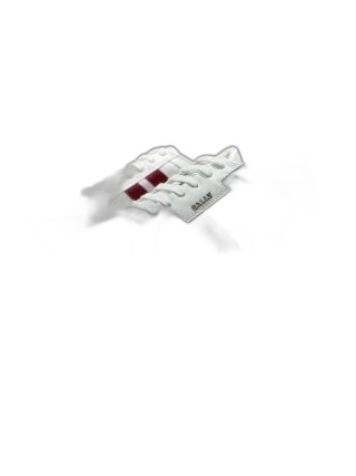 Bally Shoes 24+ colorways [Premium Quality]