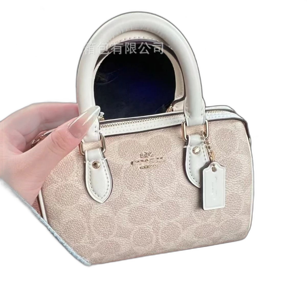 Coach Mini Bag
