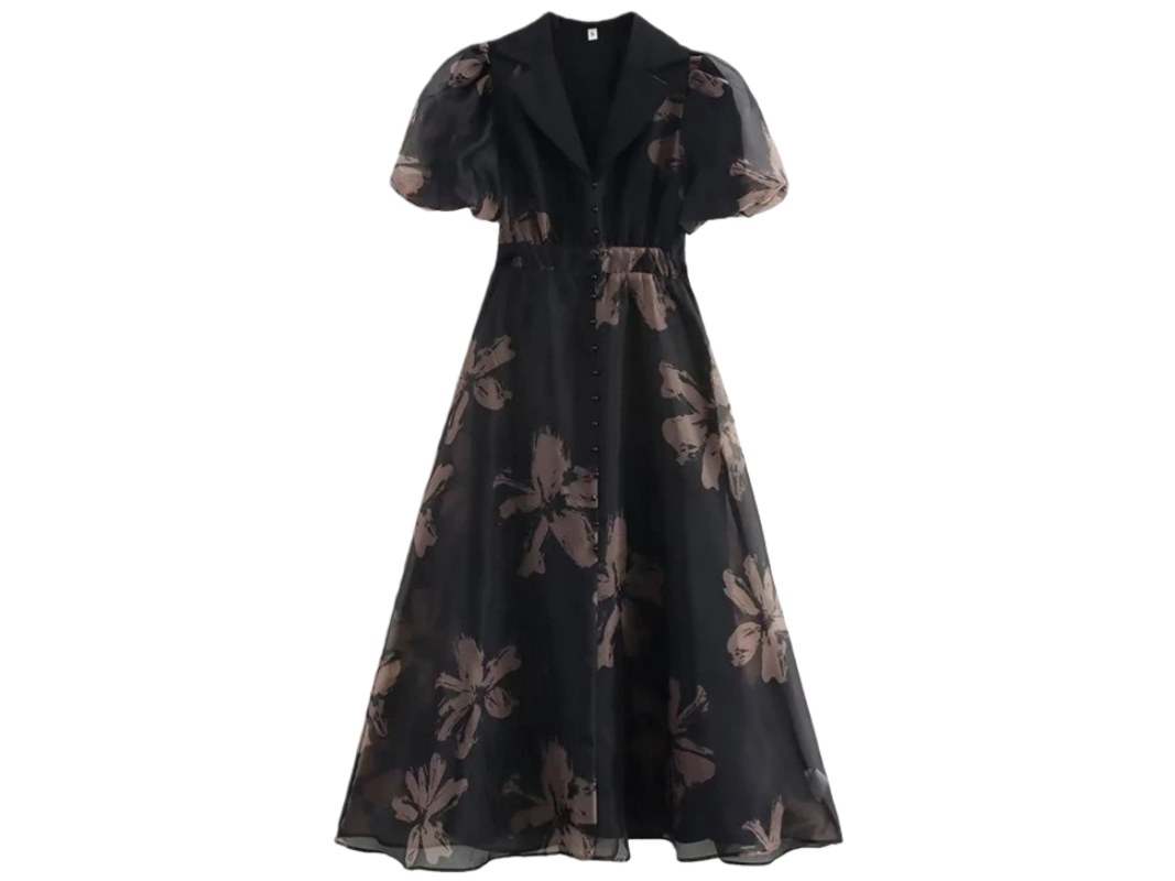 Zara Dress