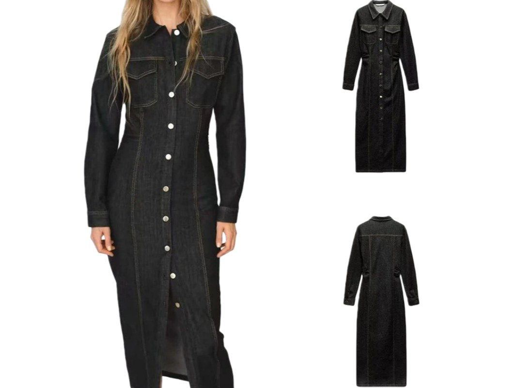Zara Dress