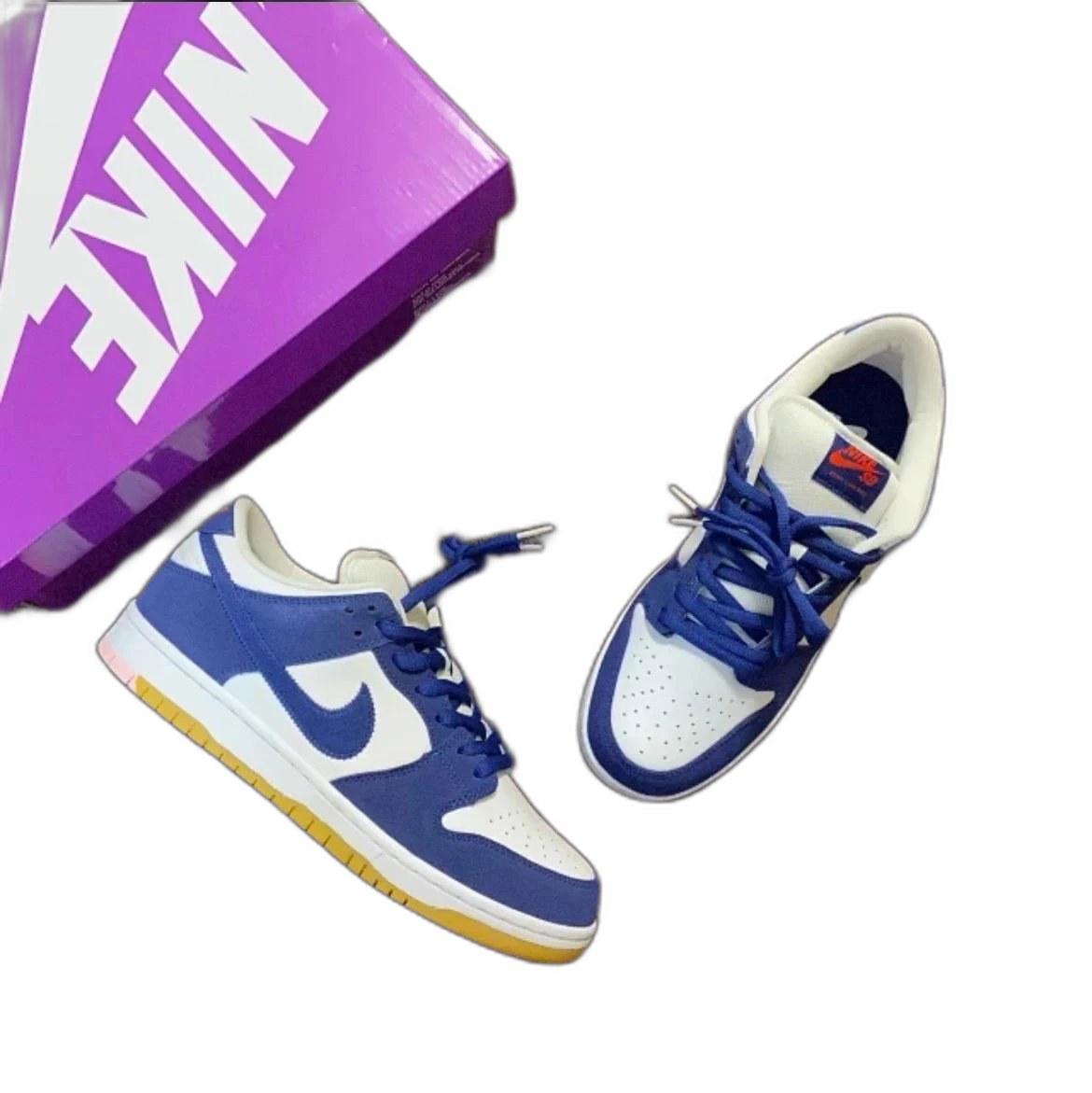 Dunk SB Born Raised