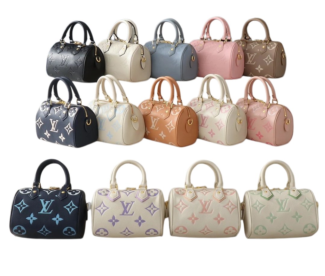 Louis Vuitton Bag