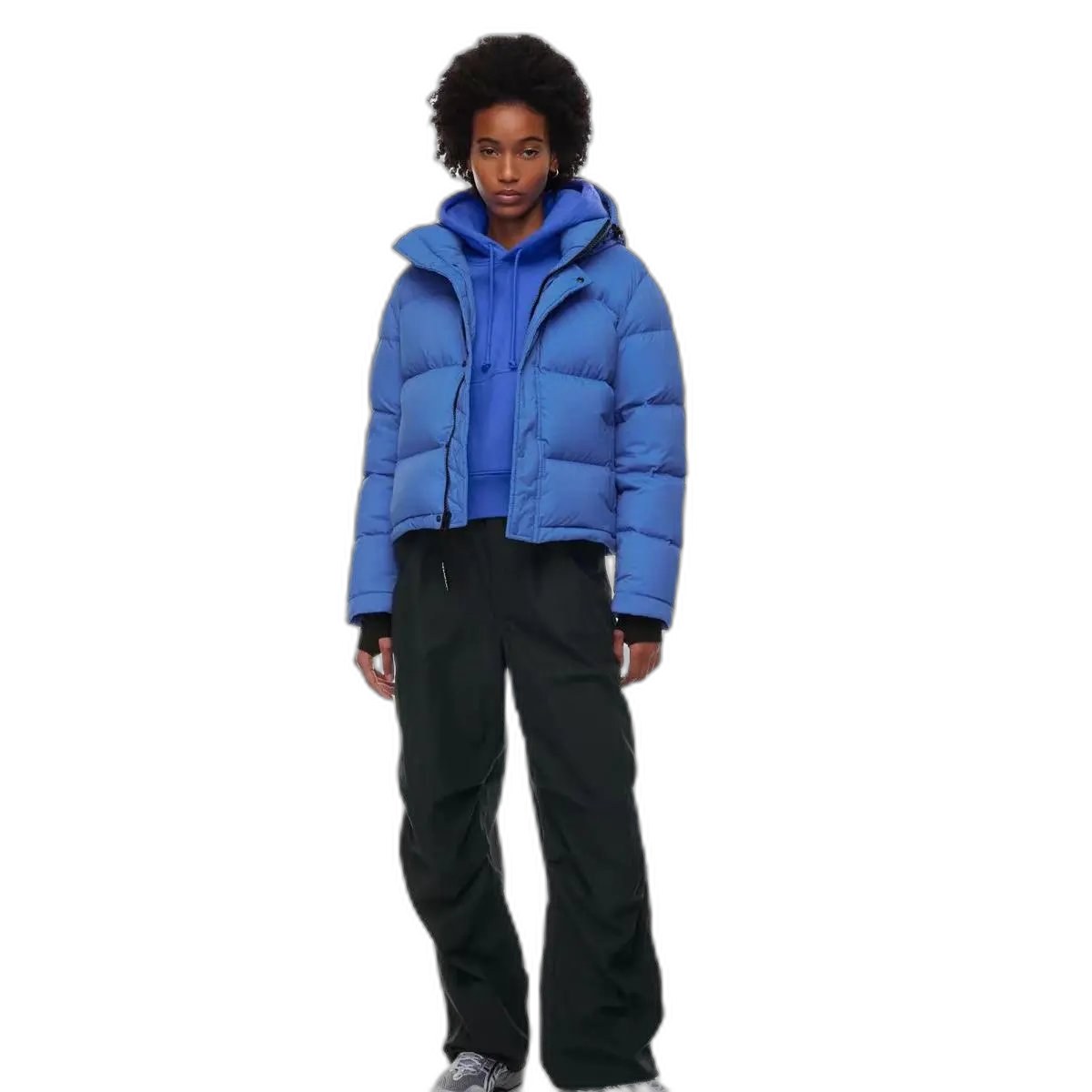 Aritzia Puffer Jacket