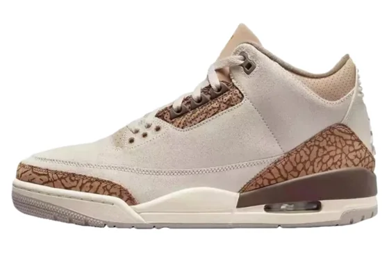 Air Jordan 3 Fragment