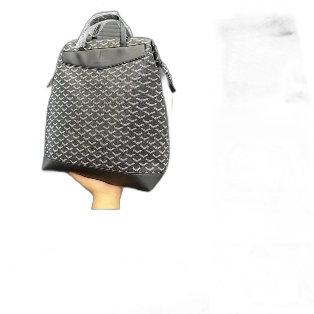 Goyard bag