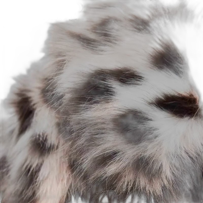 Zara Leopard Fur Jacket