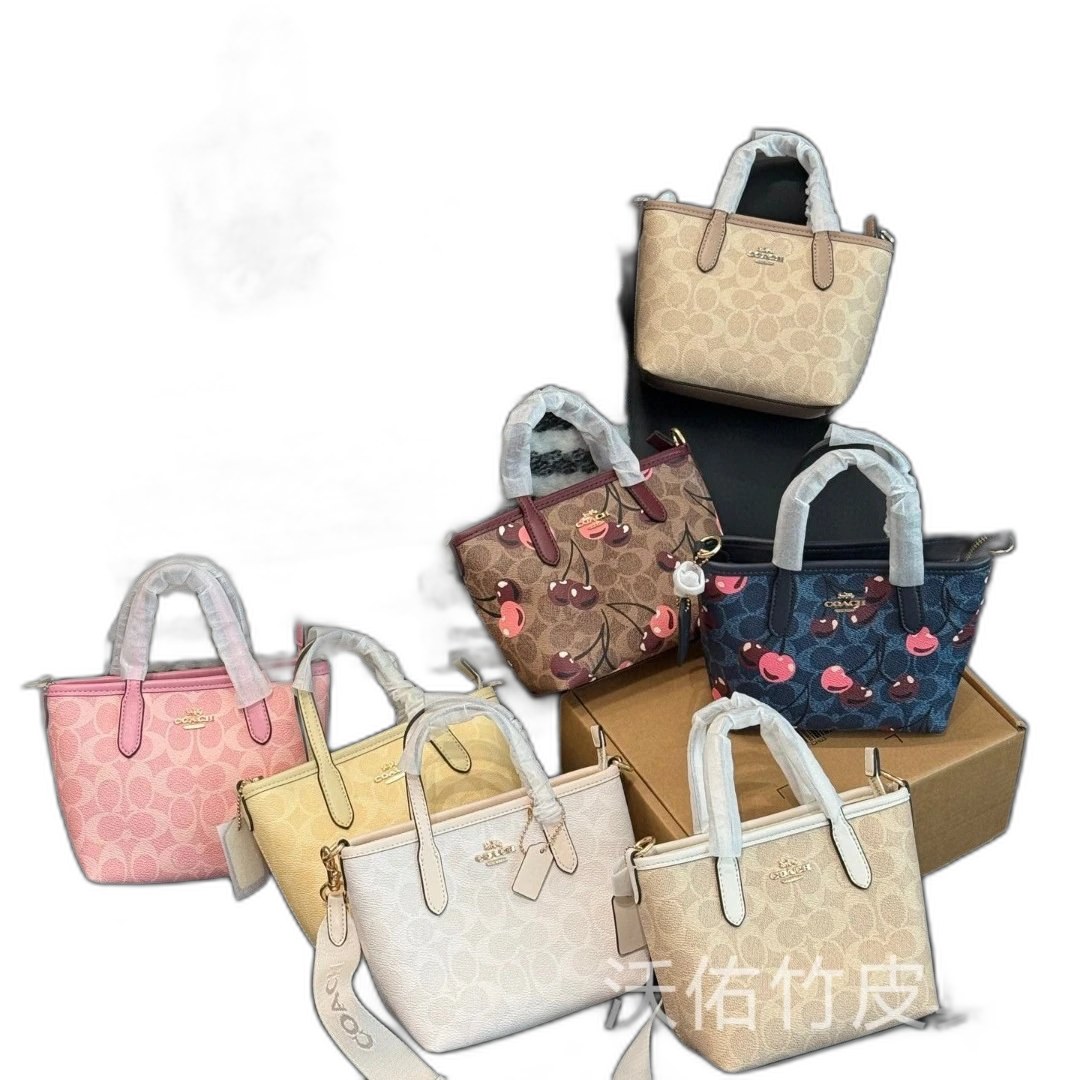 Coach Mini Bag