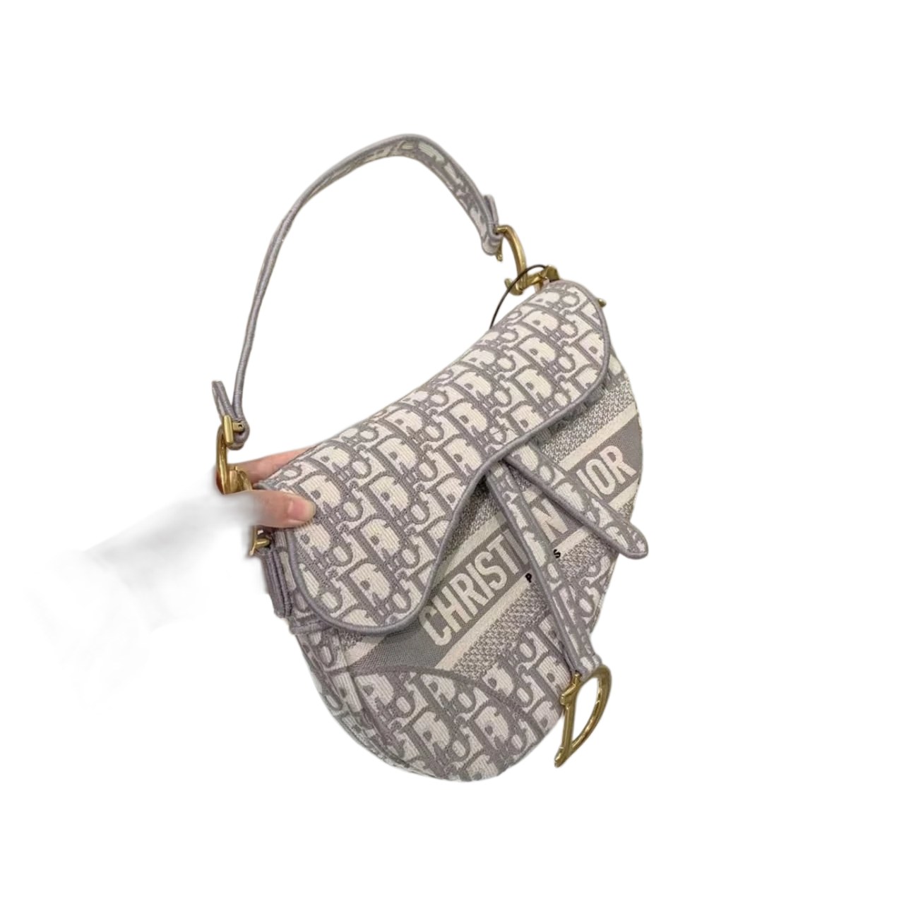 Dior Bag