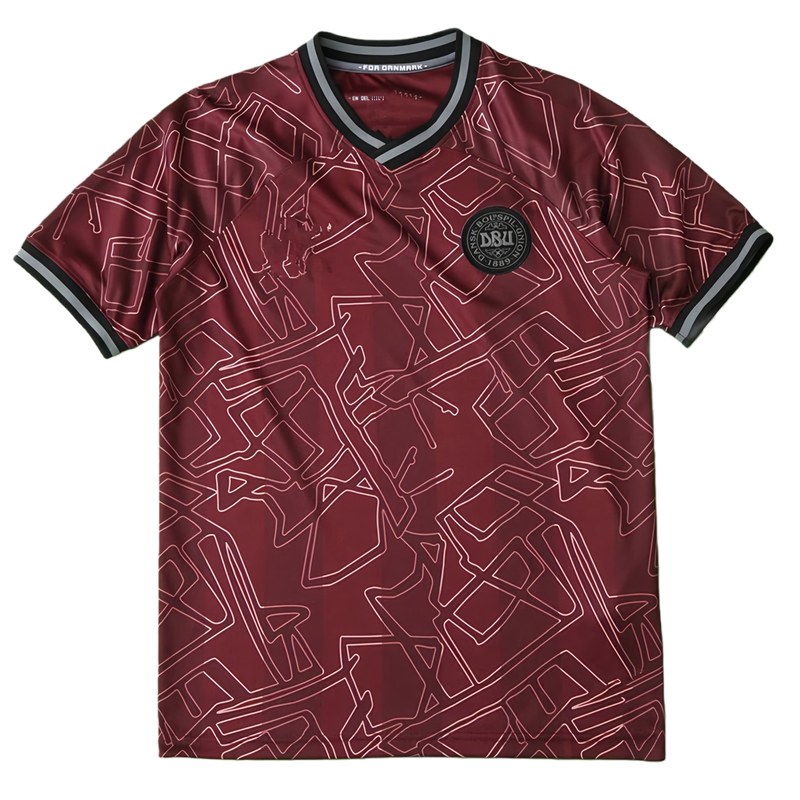 2425 season Denmark home Fan version