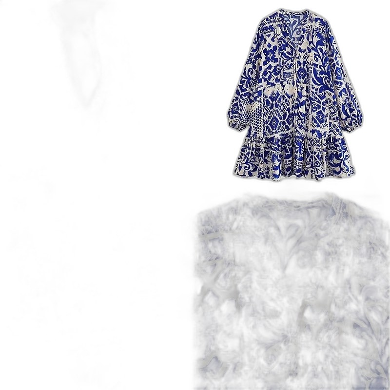 Zara Dress