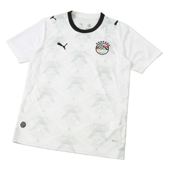 2627 Egypt home Fan version