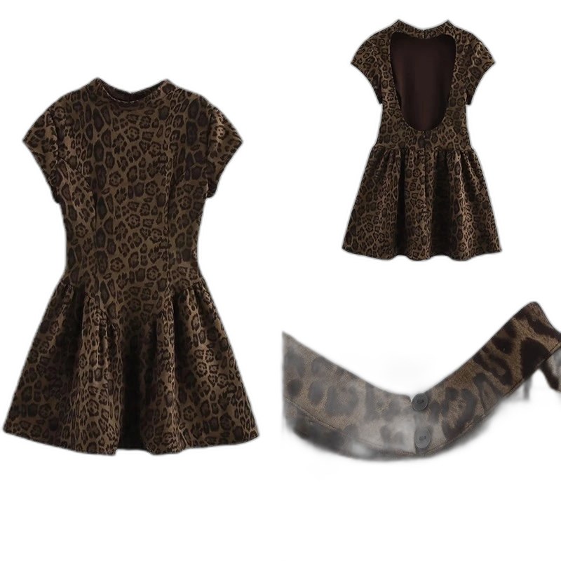 Zara Dress