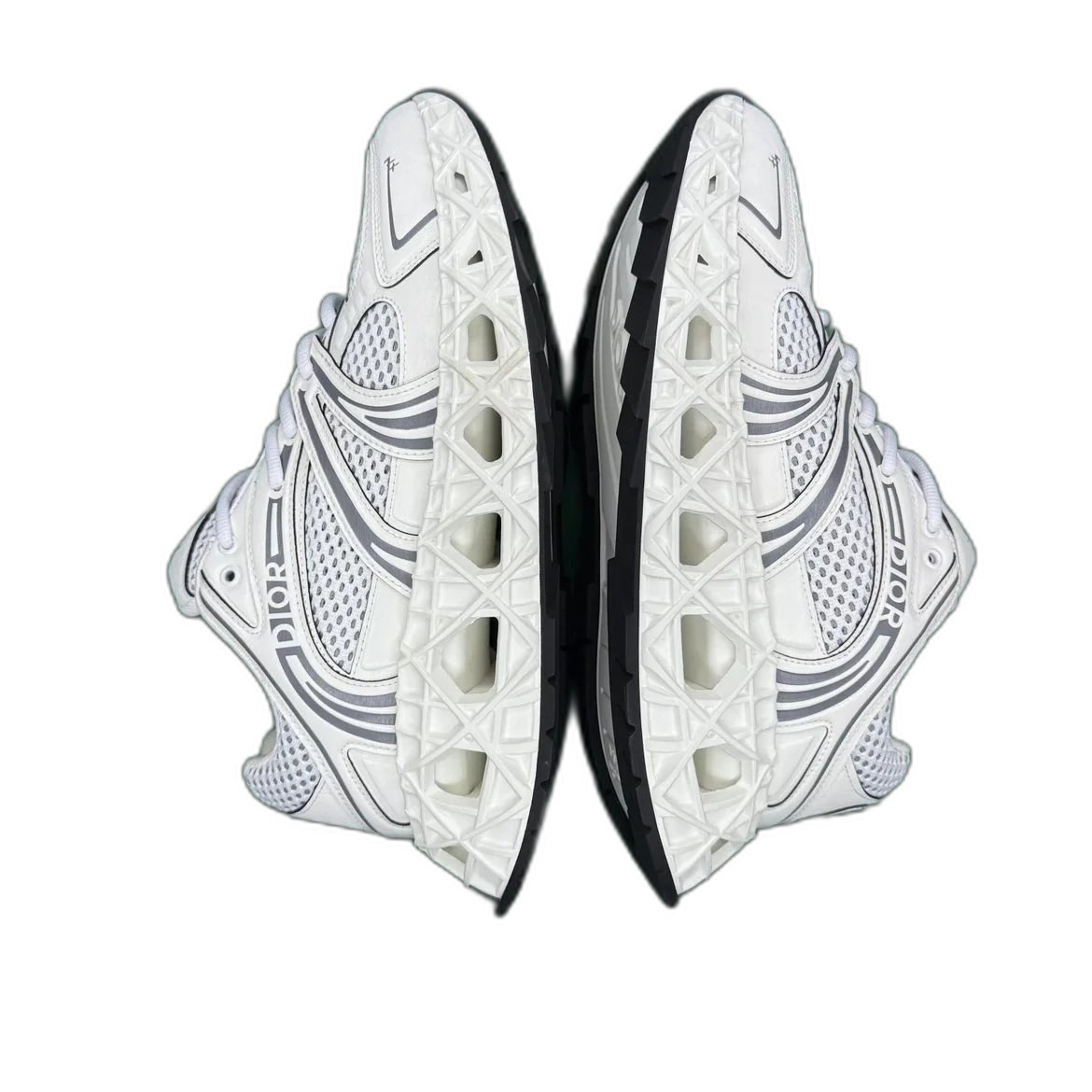 Dior B35