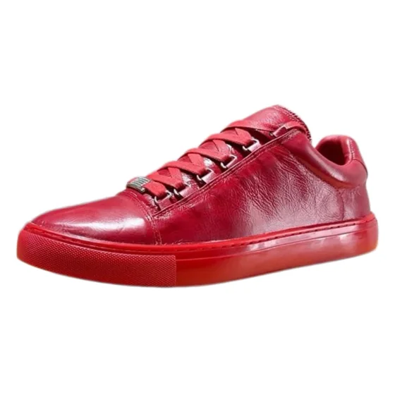 Balenciaga Arena Low Sneakers